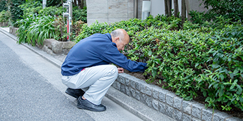 植栽管理（除草）